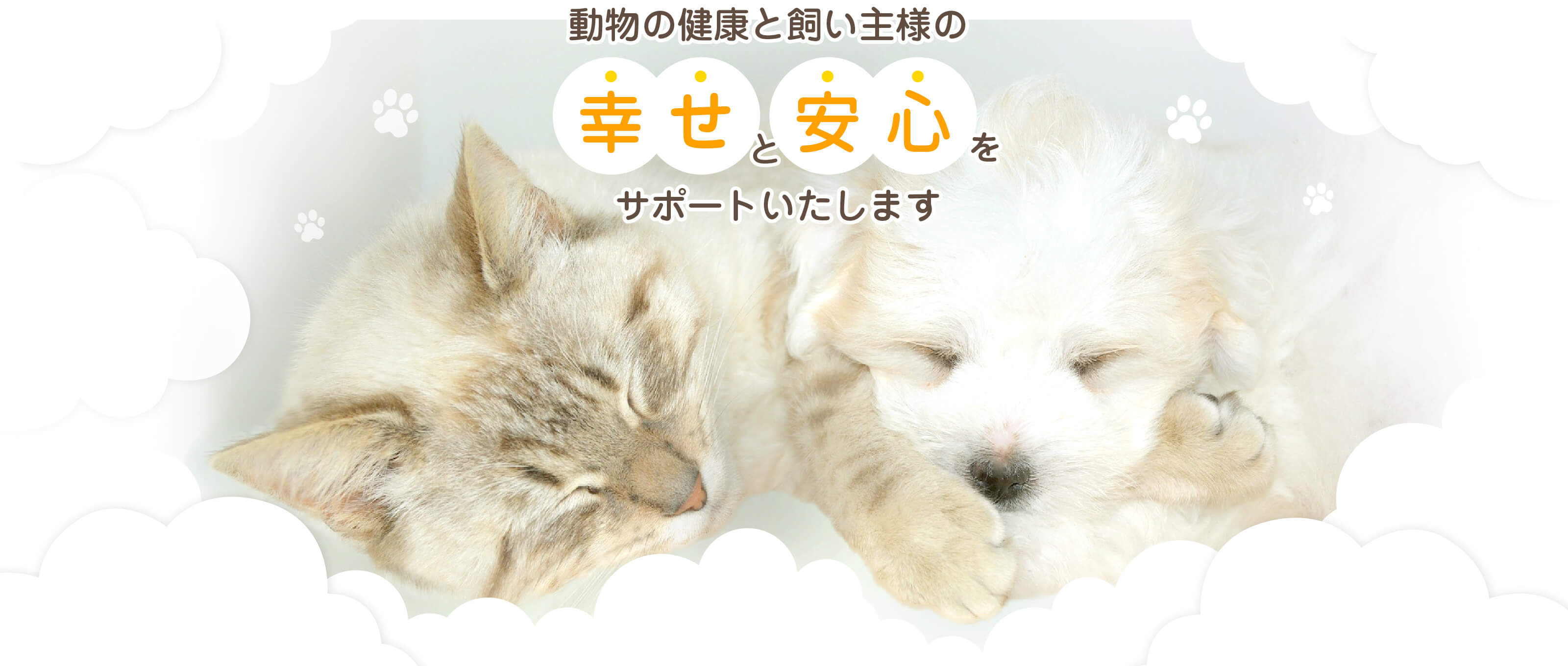 木津川の動物病院なら『城山台ペットクリニック』。動物の健康と飼い主様の幸せと安心をサポートいたします